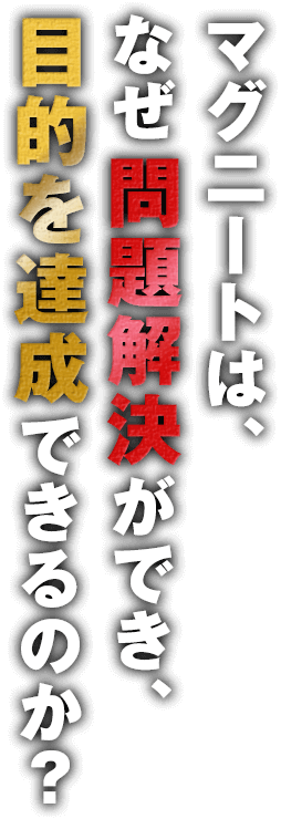 マグニートはなぜ問題解決ができ、もくてきを達成できるのか？
